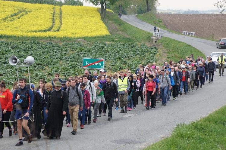 17. Piesza Pielgrzymka ze Świdnicy do Sulistrowiczek