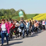 Z Witkowic do Wieprza - 2. dzień drogi do Łagiewnik - 2019