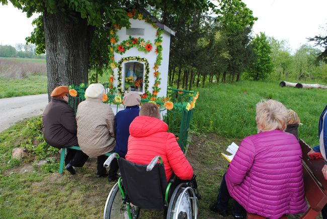 Kępa Rudnicka. Majówka.