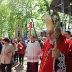 Święto patronalne archidiecezji gdańskiej