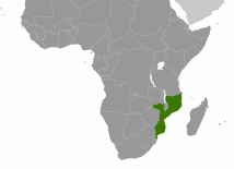 Świat milczy o atakach na kościoły w Mozambiku