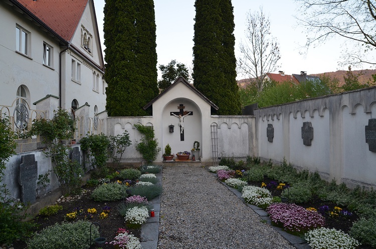 Klerycy seminarium salwatoriańskiego śladami ojca Franciszka Jordana