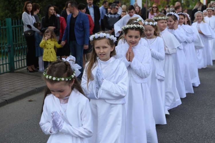 Procesja stanisławowska w Szczepanowie