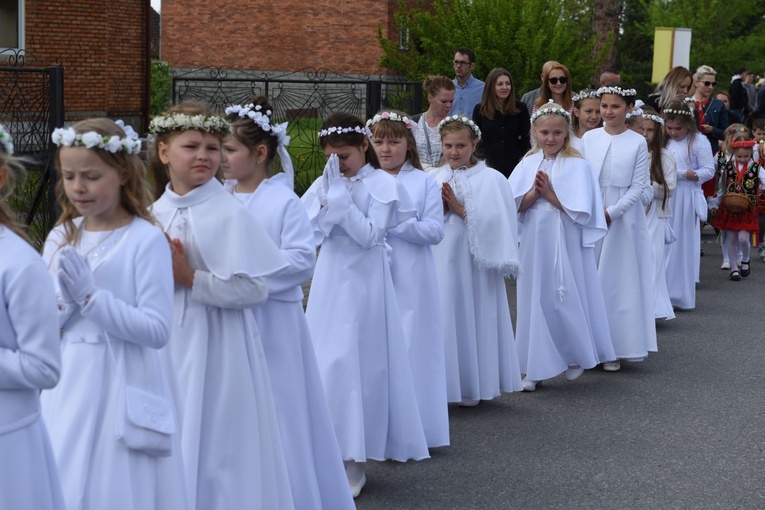 Procesja stanisławowska w Szczepanowie