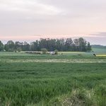 XVI Nocna Pielgrzymka z Piekar Śl. na Jasną Górę