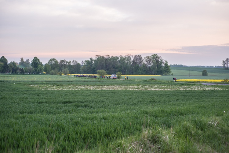 XVI Nocna Pielgrzymka z Piekar Śl. na Jasną Górę