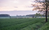 XVI Nocna Pielgrzymka z Piekar Śl. na Jasną Górę