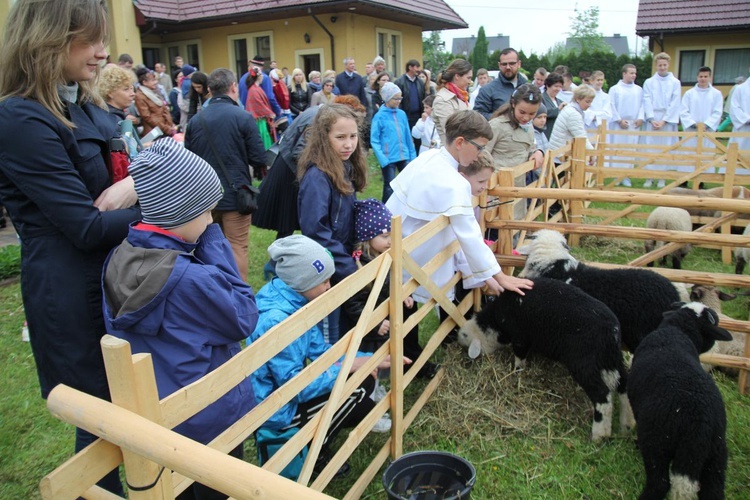 Niedziela Dobrego Pasterza w Kozach-Gajach