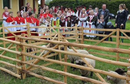 Niedziela Dobrego Pasterza w Kozach-Gajach