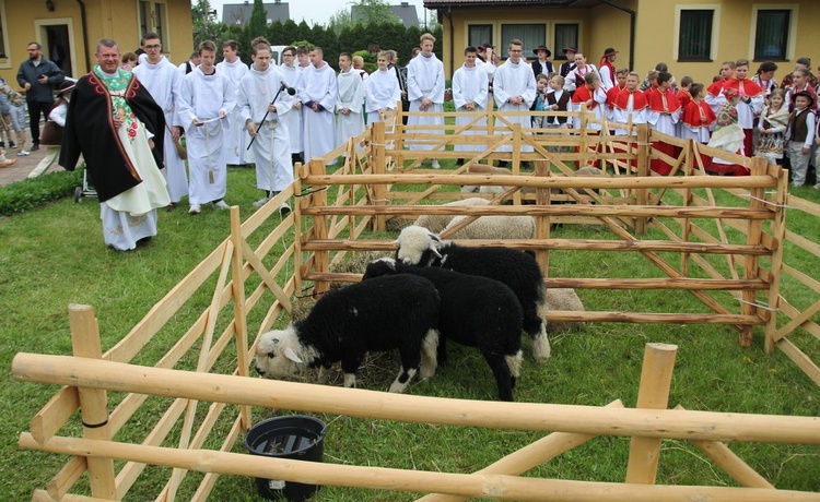 Niedziela Dobrego Pasterza w Kozach-Gajach