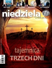 Niedziela 15/2019