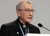 Chińscy biskupi i kard. Parolin w Mediolanie