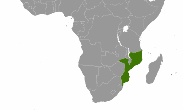 Humanitarne zagrożenie w Mozambiku trwa nadal