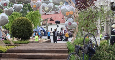 Ogrody na płycie rynku to jedna z największych atrakcji "Daisy Days".