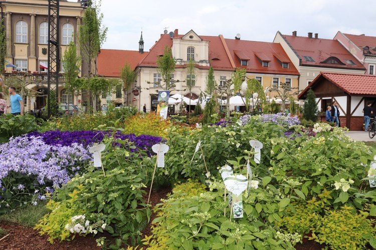 Ogrody Księżnej Daisy