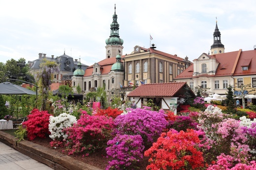 Ogrody Księżnej Daisy