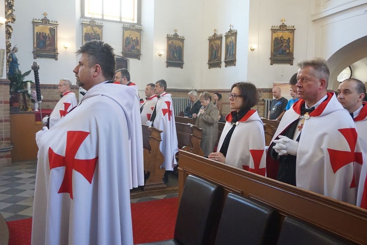 Templariusze w Świdnicy