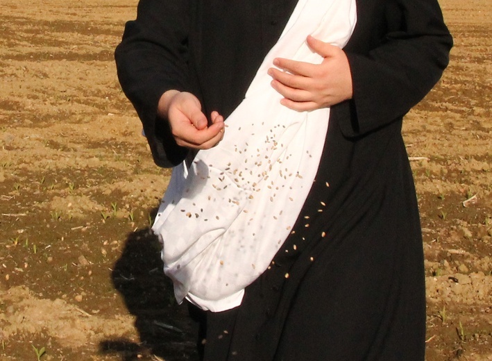 Siewcy Słowa - specjalna sesja zdjęciowa neoprezbiterów wrocławskich