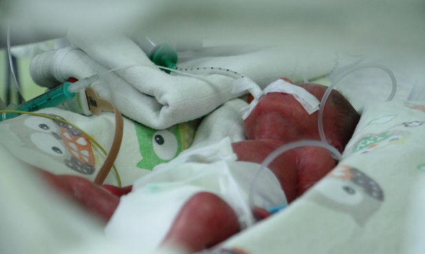 Urodziły się pierwsze w Polsce sześcioraczki