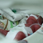 Urodziły się pierwsze w Polsce sześcioraczki