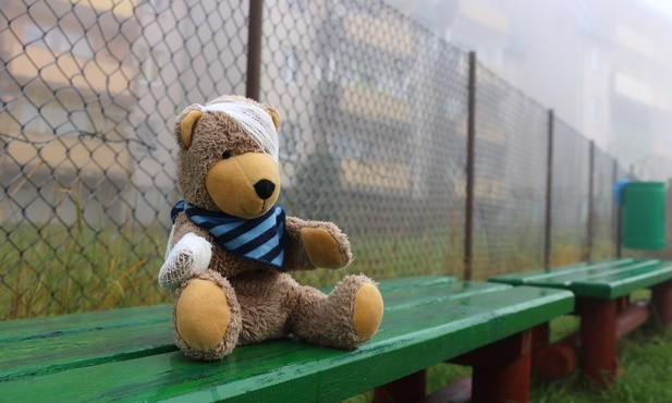 Rząd będzie dyskutował nad powołaniem komisji ds. badania problemu pedofilii