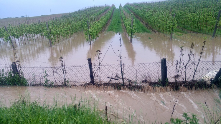 Trąba powietrzna przeszła nad gminą Wojciechów. Są ogromne straty