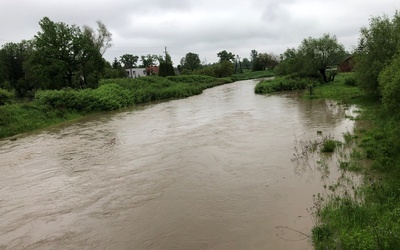 Niebezpiecznie podniósł się poziom wody na Iłownicy w Czechowicach-Dziedzicach.