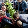 Na następne stulecia. W Koszalinie posadzono dąb PCK