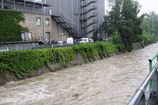 Alarm przeciwpowodziowy: Białka w centrum Bielska-Białej - 23 maja 2019 r.