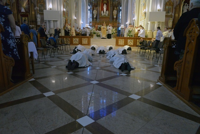 Święcenia kapłańskie w radomskiej katedrze