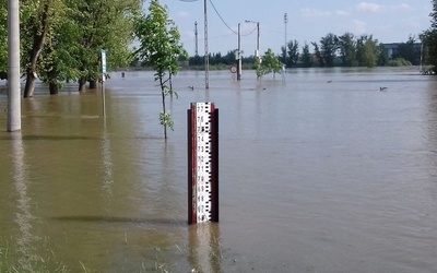 Sandomierz. Wisła na poziomie alarmowym 