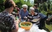 Majówka Hospicjum św. Kamila w Świętoszówce