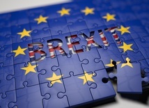 W.Brytania: Partia Brexitu zwycięża w wyborach do PE