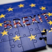 W.Brytania: Partia Brexitu zwycięża w wyborach do PE