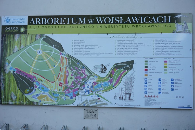 Maj w wojsławickim arboretum