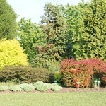 Maj w wojsławickim arboretum