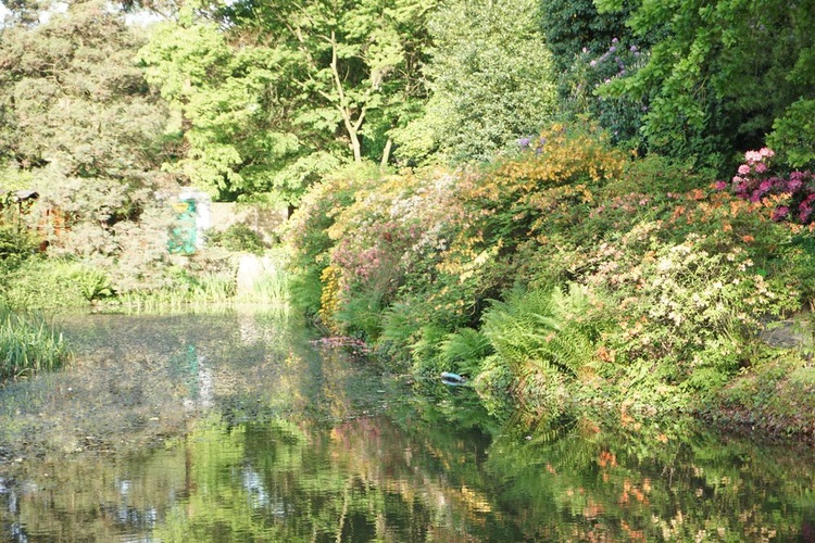 Maj w wojsławickim arboretum