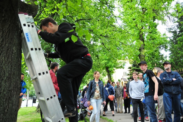 Protest przeciwko wycinaniu drzew w Lublinie i polityce urbanistycznej ratusza