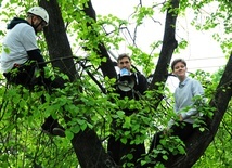 Protest przeciwko wycinaniu drzew w Lublinie i polityce urbanistycznej ratusza