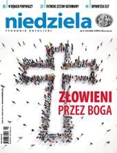 Niedziela 19/2019