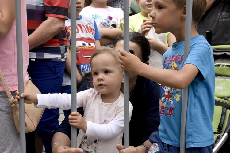 Koncert Arki Noego w Świdnicy