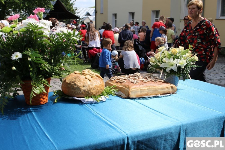 Zakończenie diecezjalnej peregrynacji obrazu św. Józefa