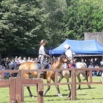 Chorzów: Dni Miasta w Skansenie „Z orężem przez wieki”