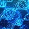 Kompletny genom człowieka poznany