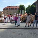 Szkoła Caritas wśród laureatów Gryfiady