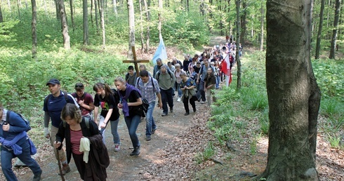 Droga Światła w wigilię Zesłania Ducha Świętego