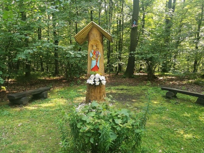 Niedziela Zesłania Ducha Świętego u krakowskich kamedułów