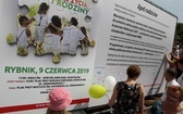 Marsz dla Życia i Rodziny w Rybniku