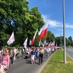 Marsz dla Życia i Rodziny w Żarach