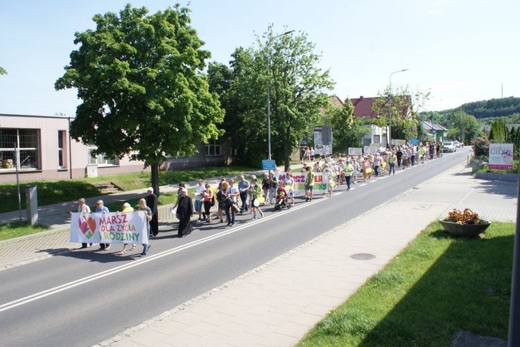 Marsz dla życia w Wałbrzychu